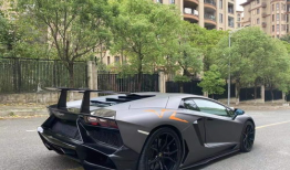 大牛视频,揭秘行业精英的智慧火花